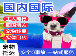 漠河机场货运国际宠物托运 【国